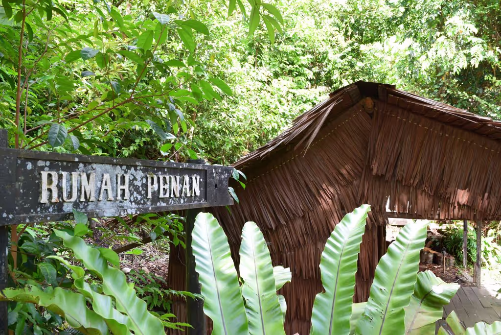 Sarawak Private Tour - Penan Hut
