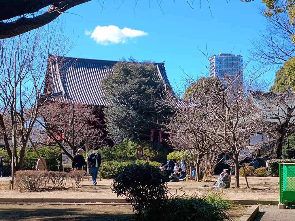 Tokyo Private Tour - Around Ueno park