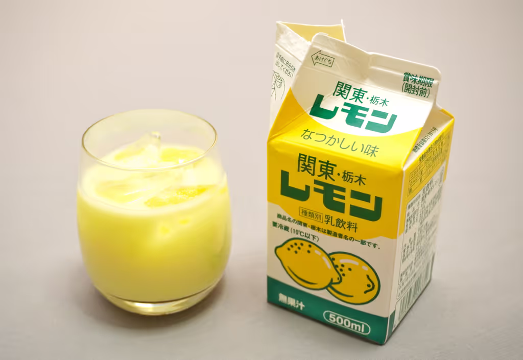 Tochigi Private Tour - 