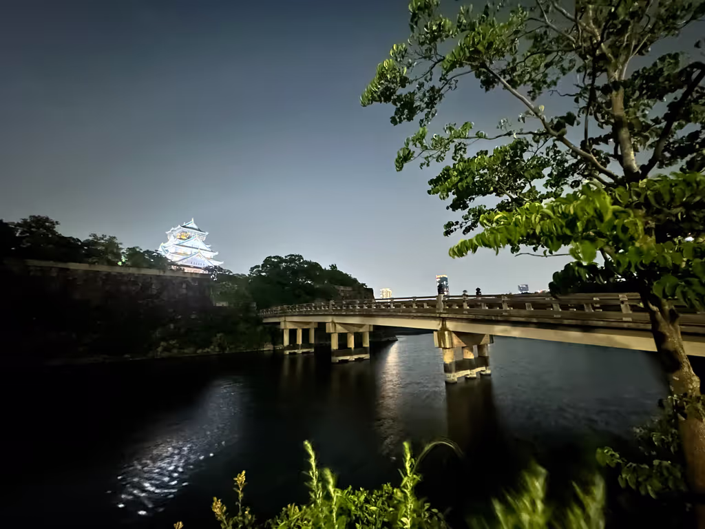 Osaka Private Tour - retrospection from Paradise bridge_night