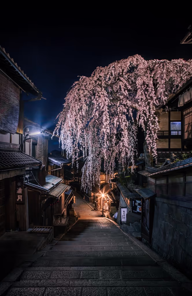Kyoto Private Tour - 
