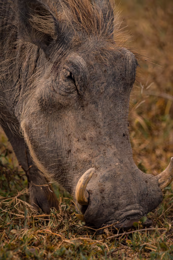 Arusha Private Tour - 