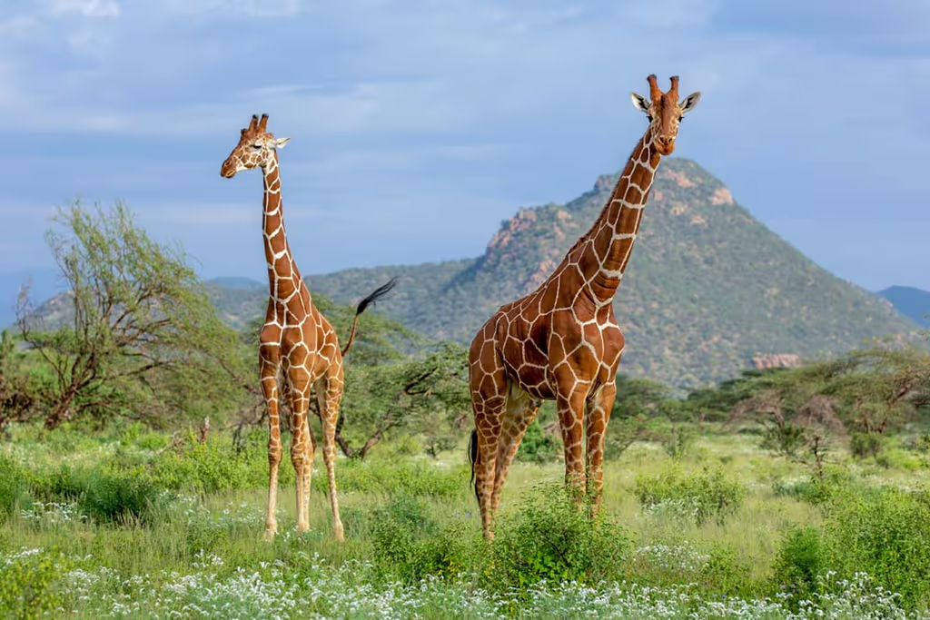 Arusha Private Tour - 