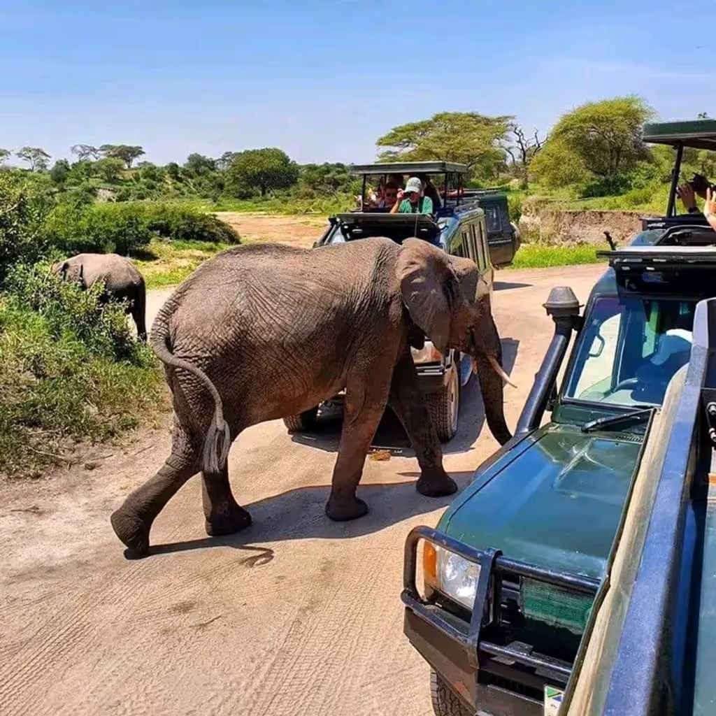 Moshi Private Tour - 