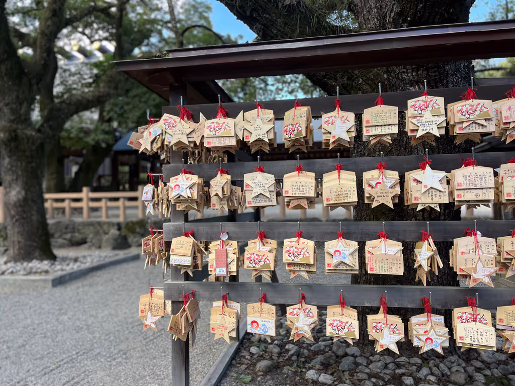 Nagoya Private Tour - 