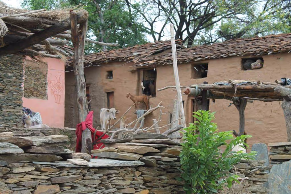 Udaipur Private Tour - Local Village