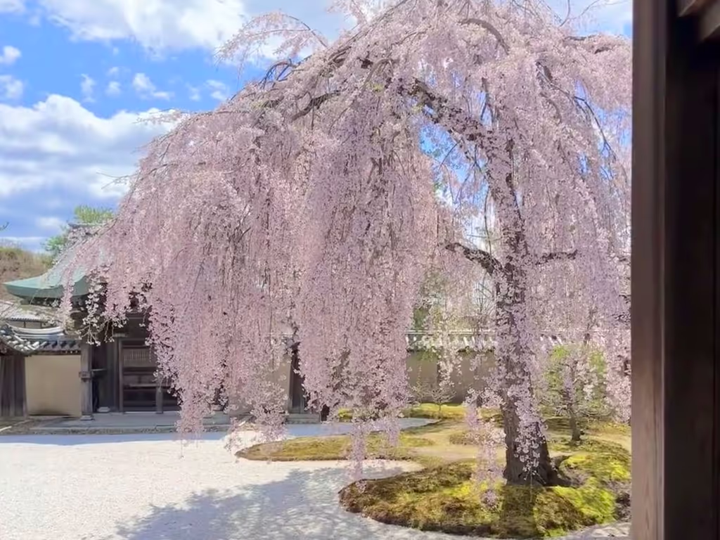 Kyoto Private Tour - Kodaiji Temple