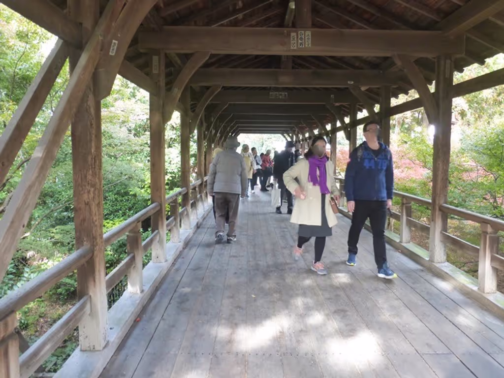 Kyoto Private Tour - Viewpoint of autumn leaves