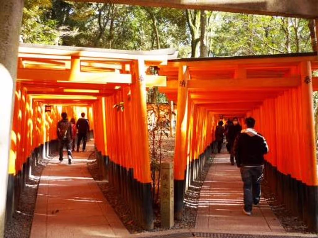 Kyoto Private Tour - Torii gate in Fushimi Inari