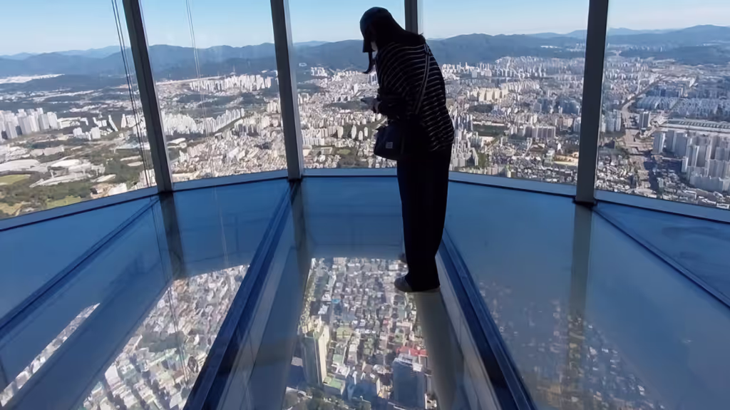 Seoul Private Tour - Lotte World Tower