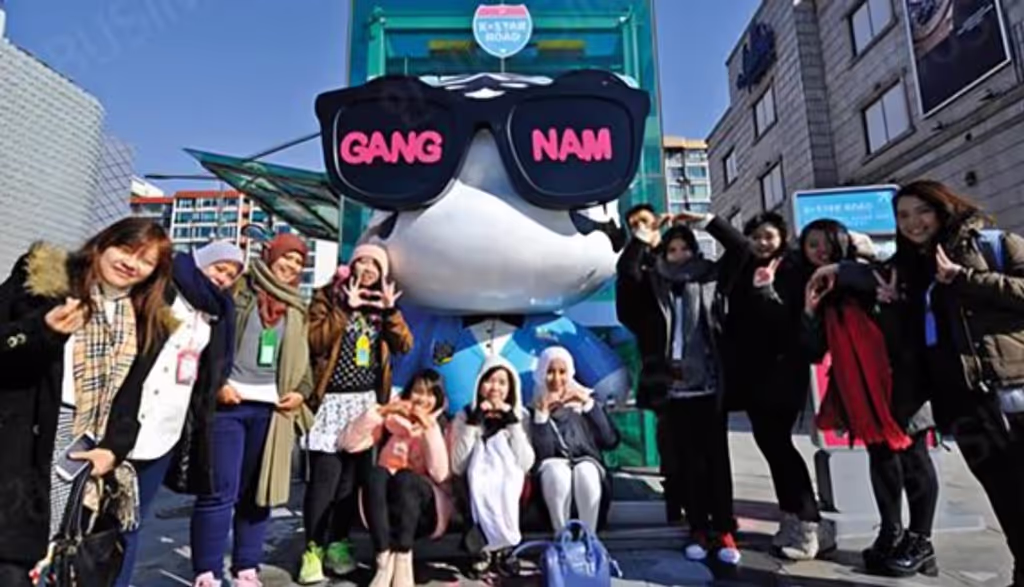 Seoul Private Tour - Gangnam