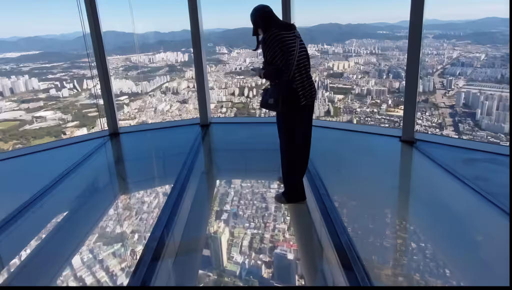 Seoul Private Tour - Lotte World Tower