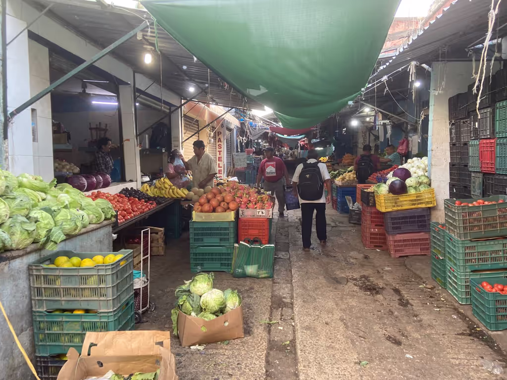 Merida Private Tour - 