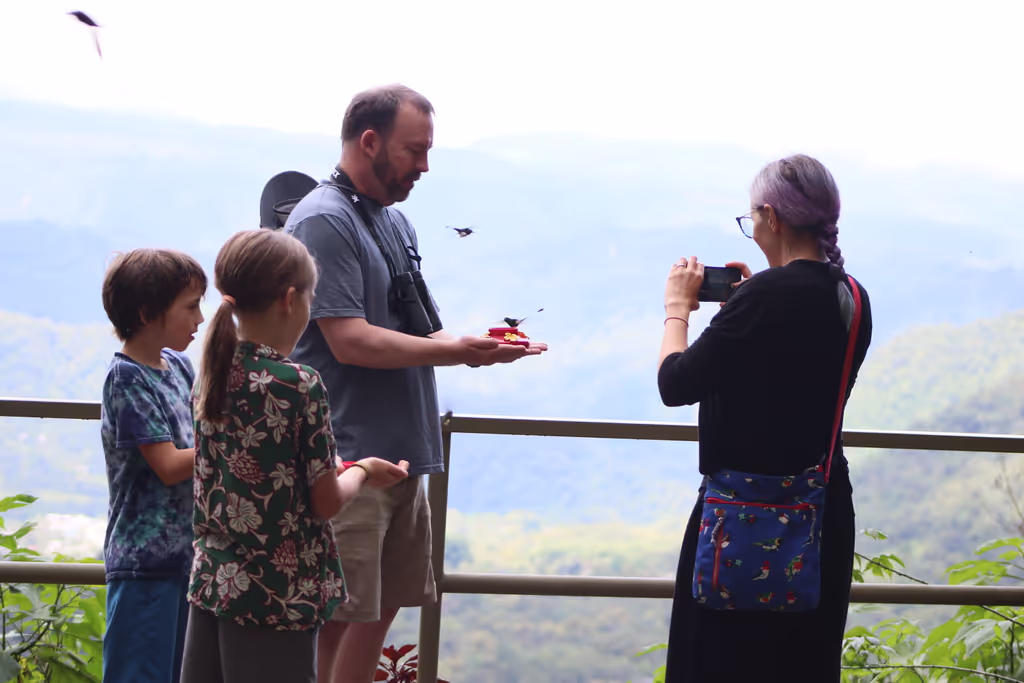 Quito Private Tour - hummingbird spot
