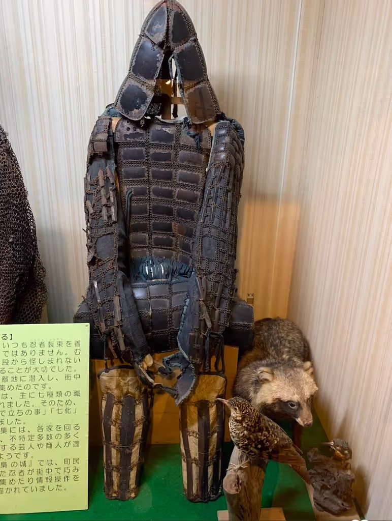 Nagoya Private Tour - 
