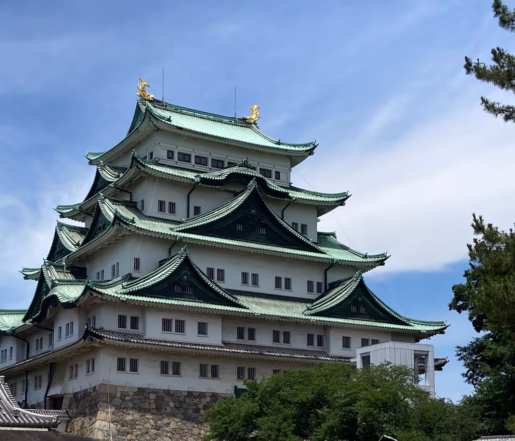 Nagoya Private Tour - Nagoya Castle