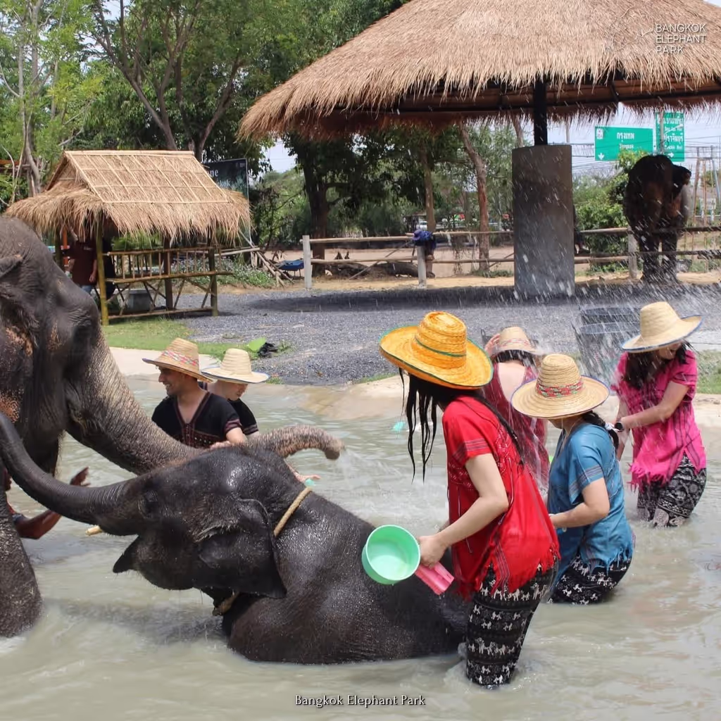 Bangkok Private Tour - Enjoy a mud spa & bathe with the