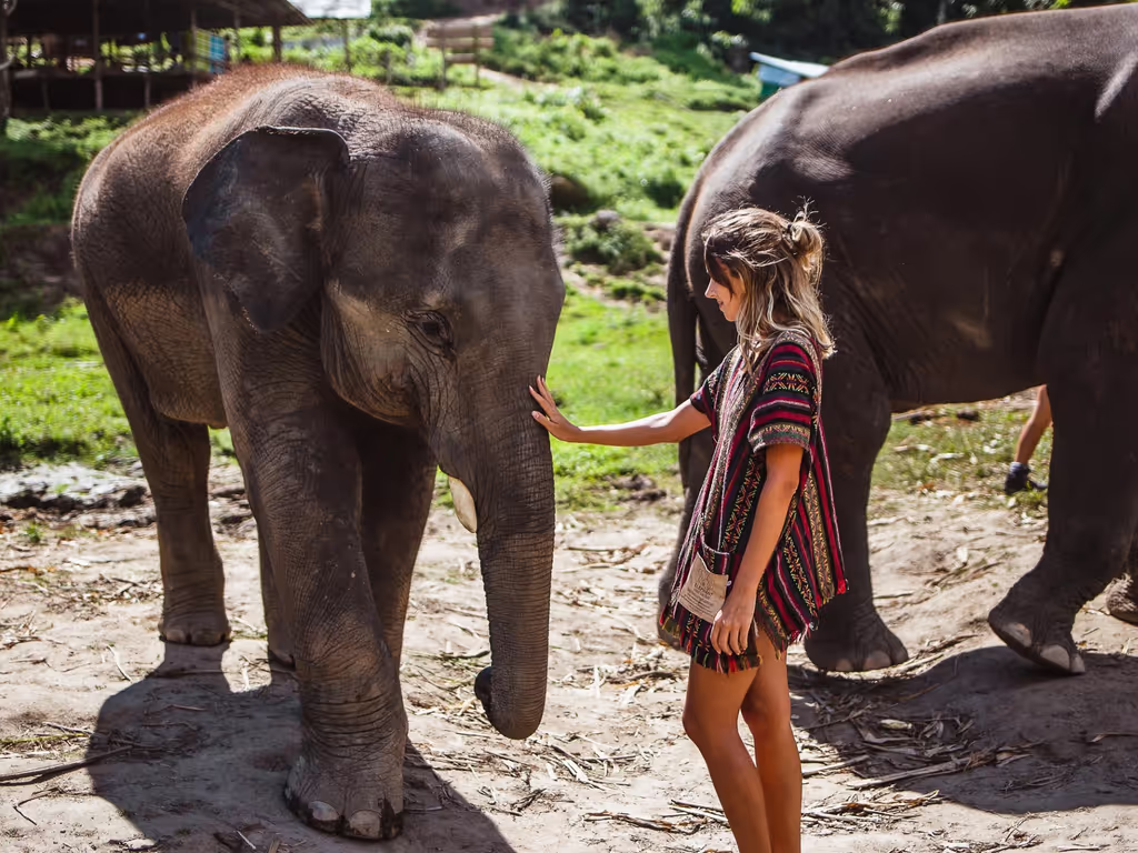Bangkok Private Tour - Feel to them