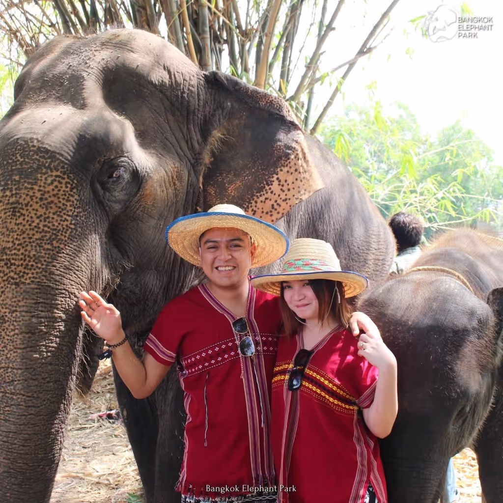 Bangkok Private Tour - A couples shot with elephant