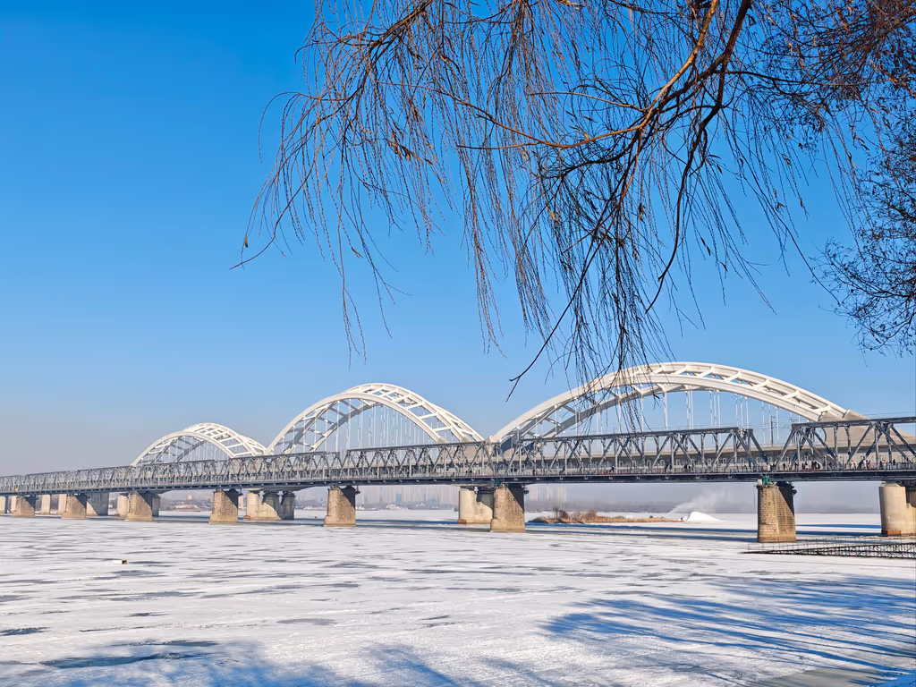 Harbin Private Tour - Stalin Park
