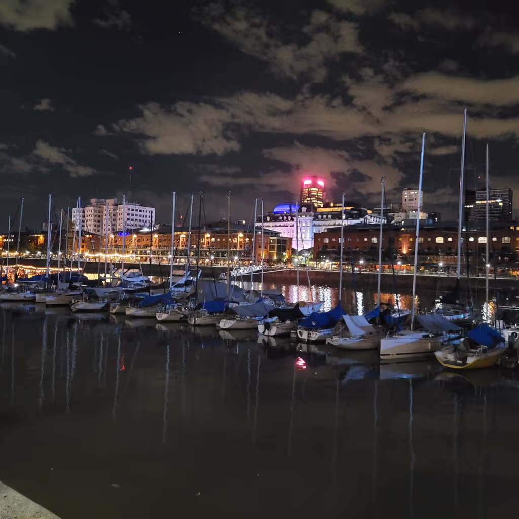 Buenos Aires Private Tour - Madero Harbor