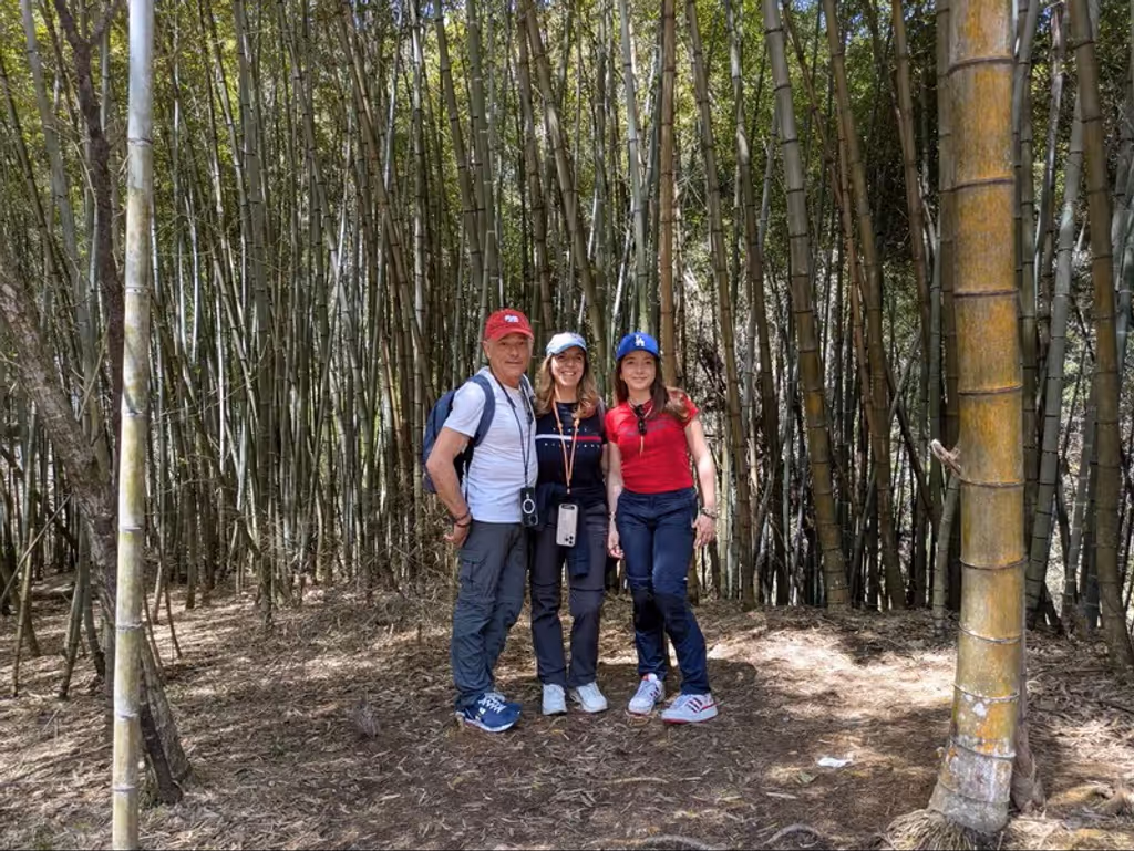Nagoya Private Tour - 