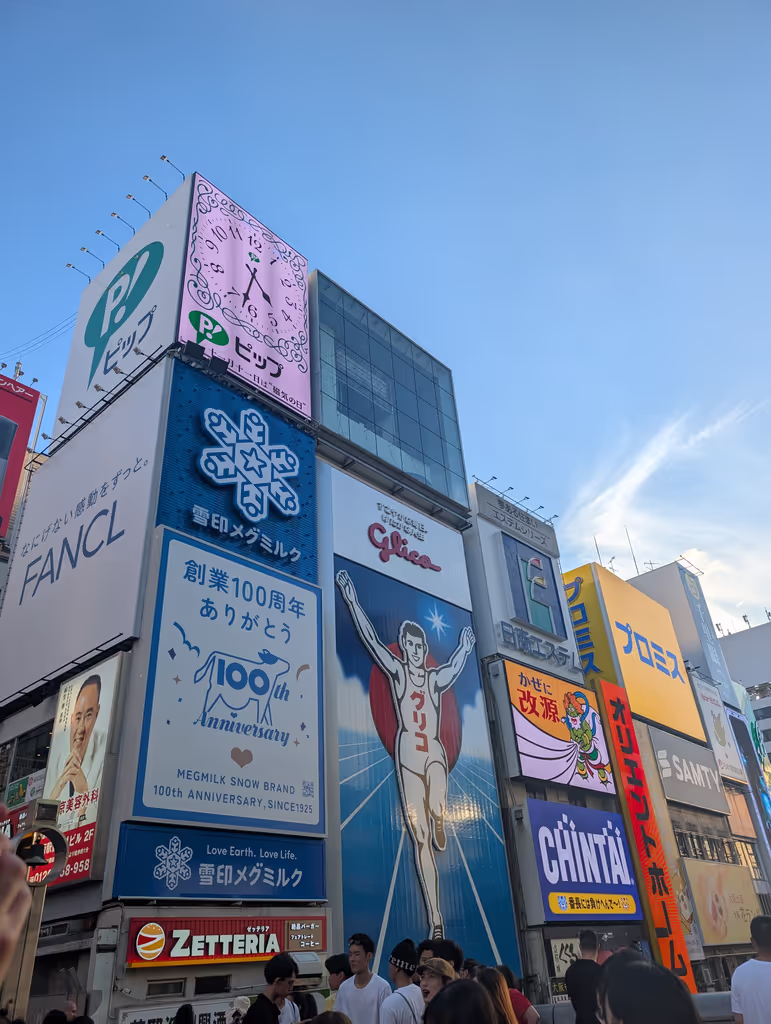 Osaka Private Tour - Glico