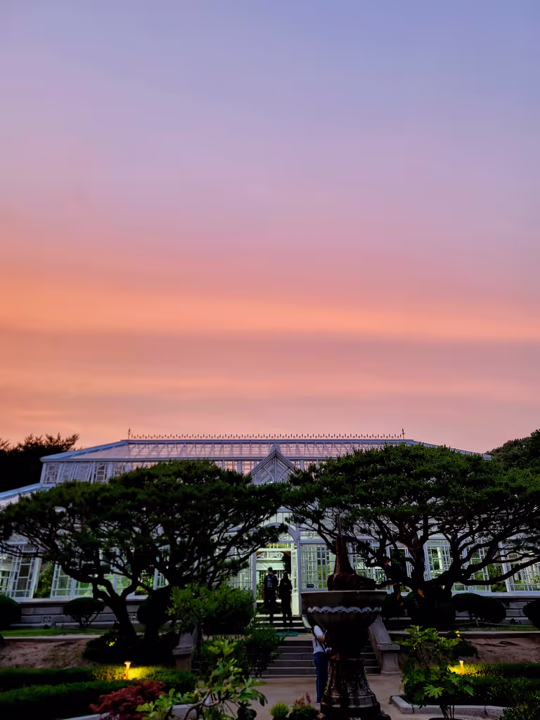 Seoul Private Tour - Sunset in a Palace