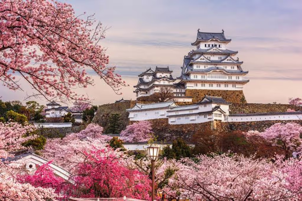 Kobe Private Tour - Himeji Castle