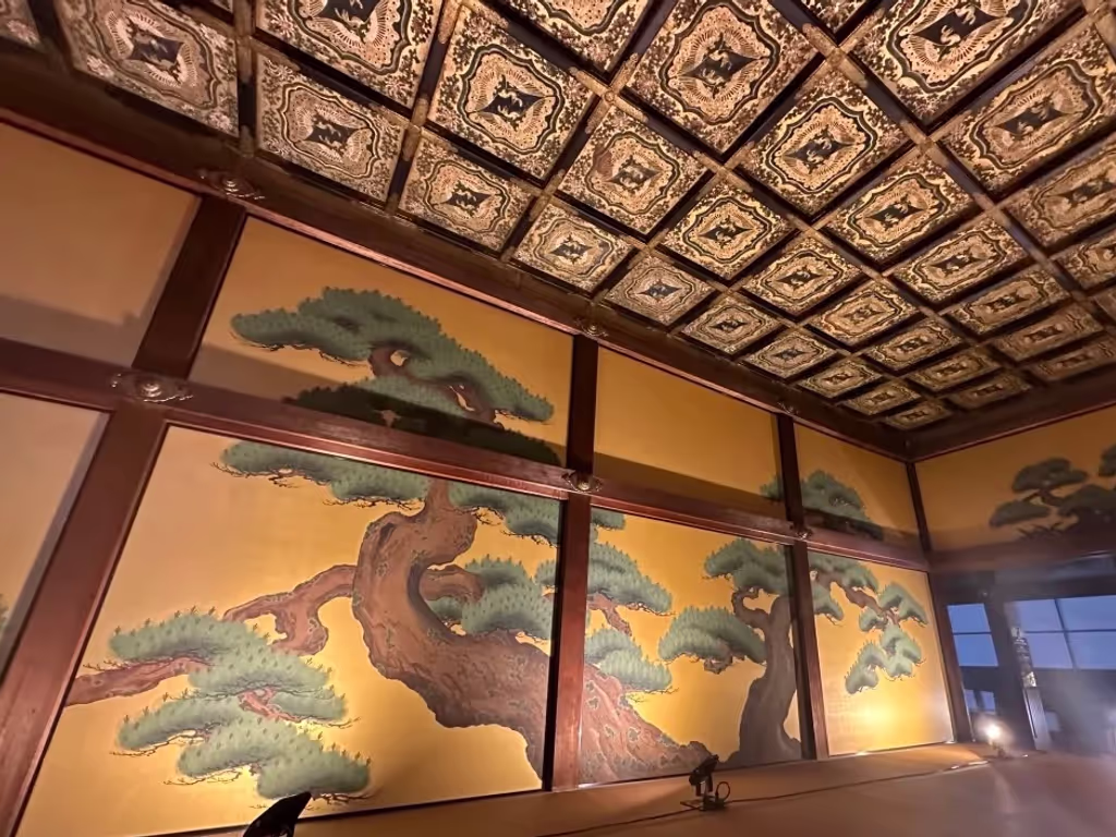 Kyoto Private Tour - Nijo Castle