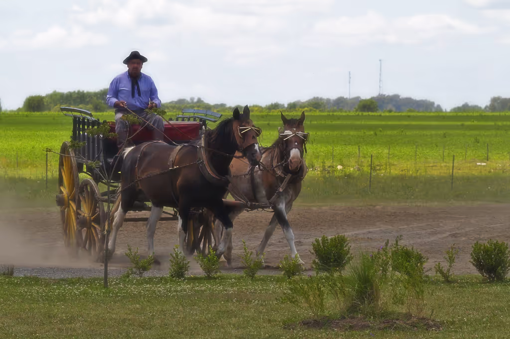 Buenos Aires Private Tour - 