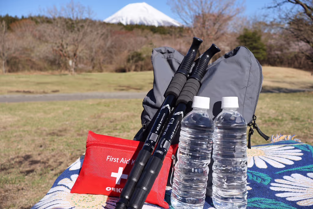 Mount Fuji Private Tour - 