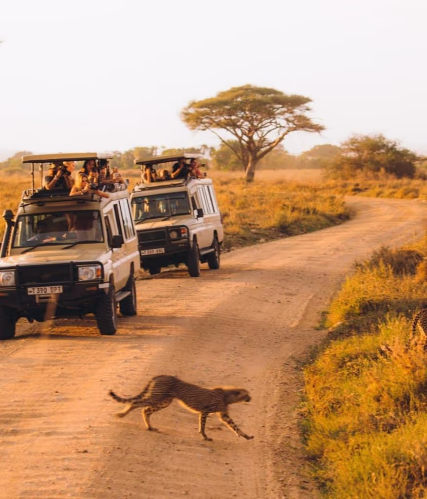 Arusha Private Tour - 