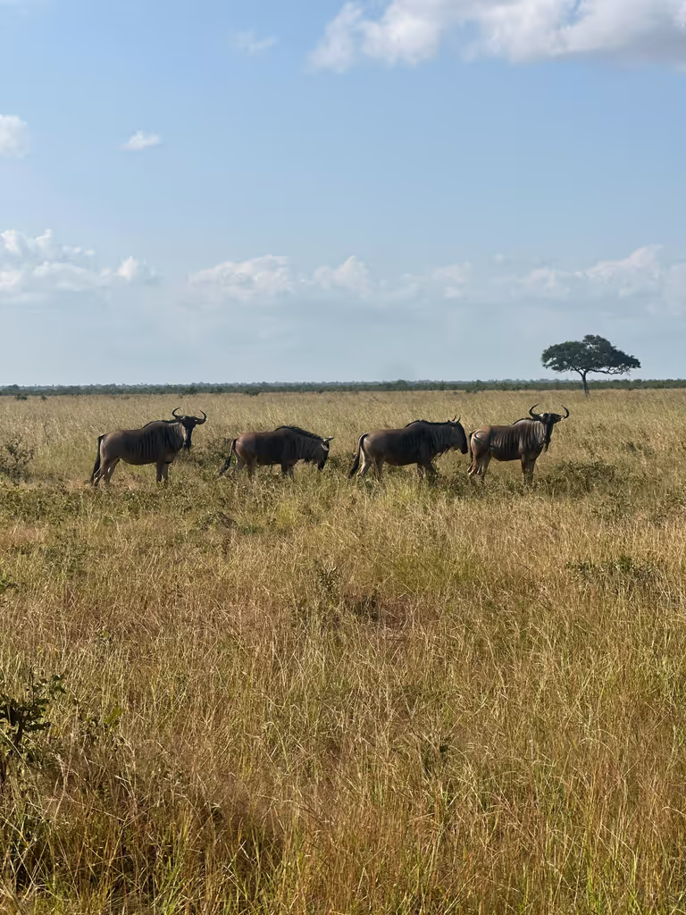 Arusha Private Tour - 