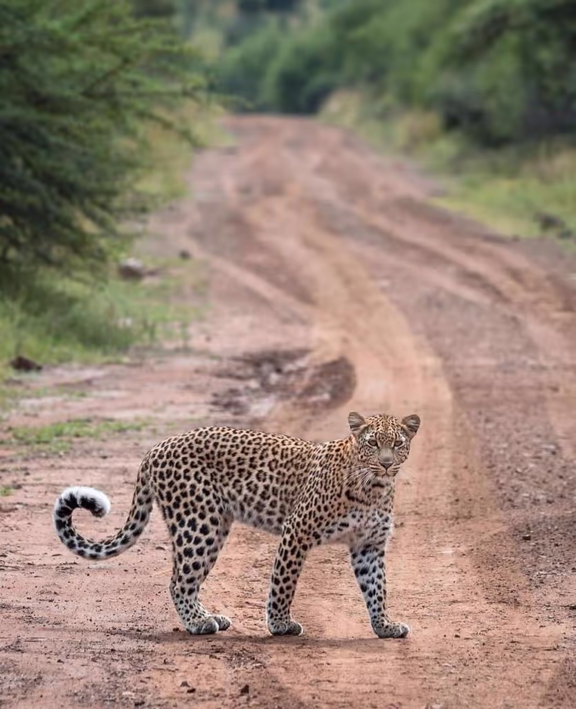 Arusha Private Tour - 