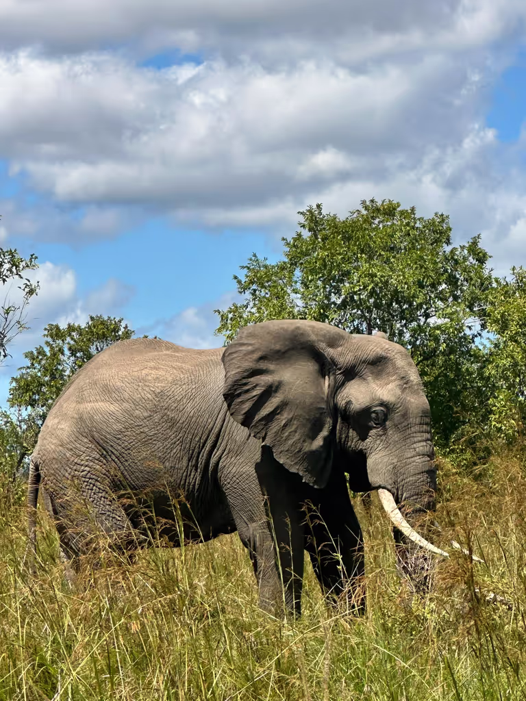 Arusha Private Tour - 