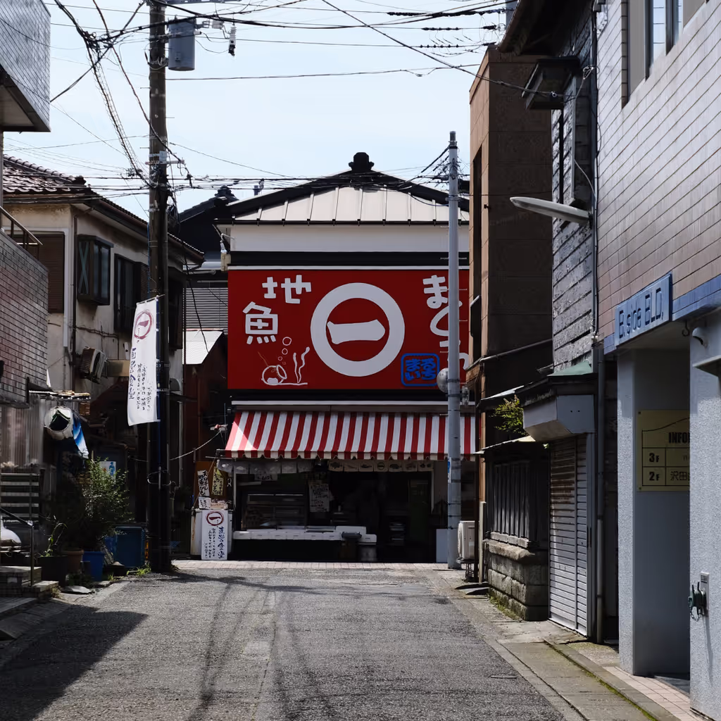 Kanagawa Private Tour - Take a stroll through the lovely shopping street.