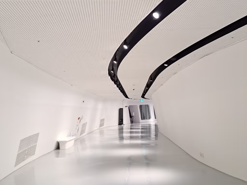 Seoul Private Tour - Dongdaemun Design Plaza