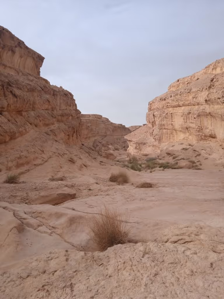 Tunis Private Tour - Canyon Sidi Bouhlel