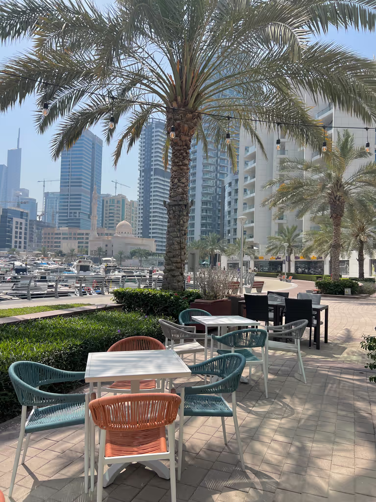 Dubai Private Tour - 