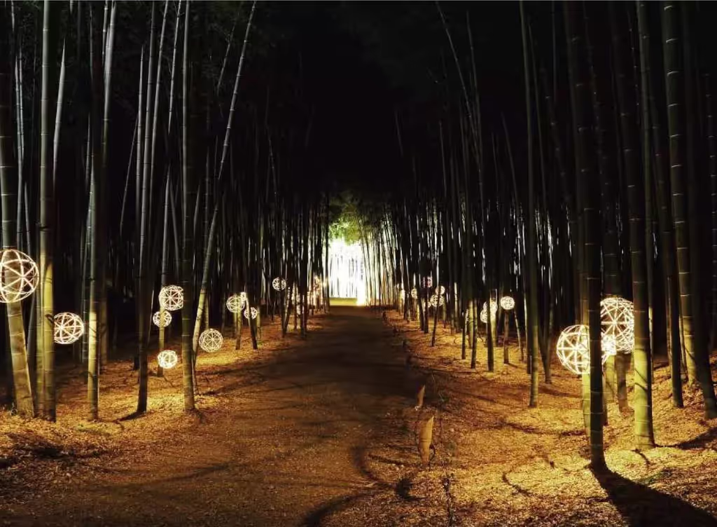 Tochigi Private Tour - 