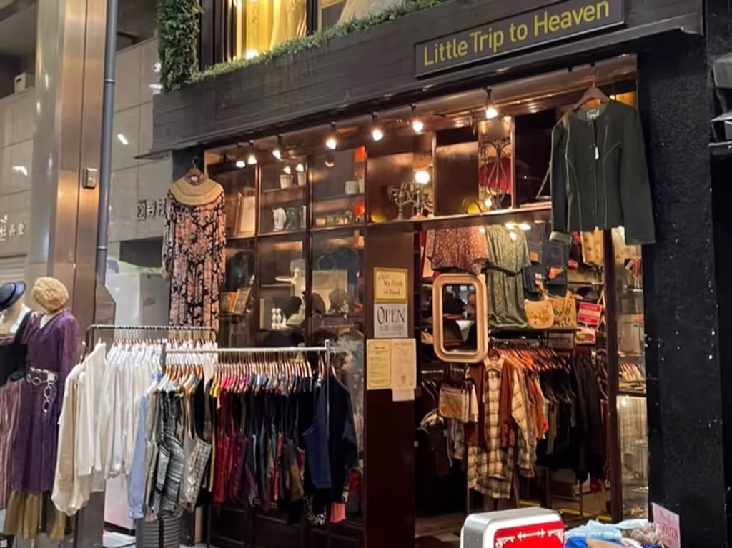 Kyoto Private Tour - Vintage Store