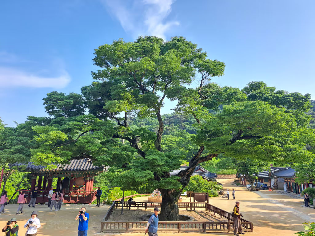Seoul Private Tour - Jeondeungsa Temple