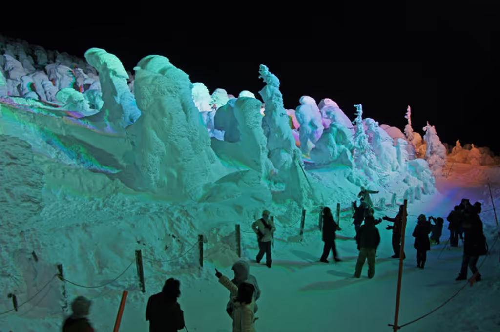 Miyagi Private Tour - Snow Monster at night
