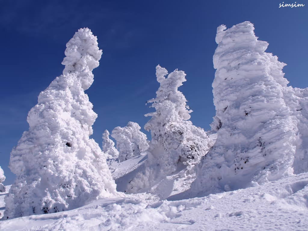 Miyagi Private Tour - Snow Monster