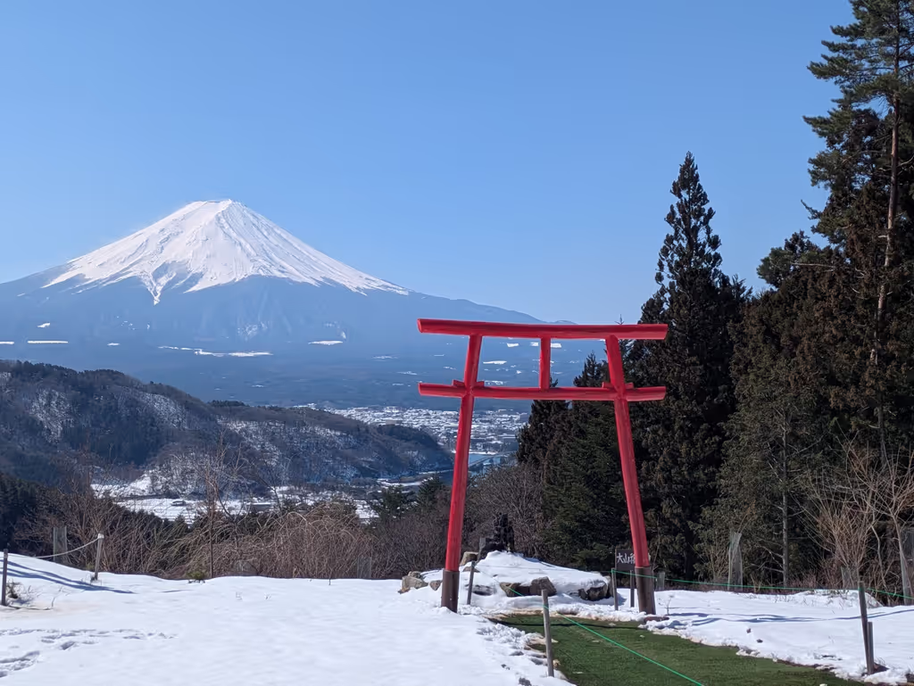 Mount Fuji Private Tour - Perfect picture in winter season