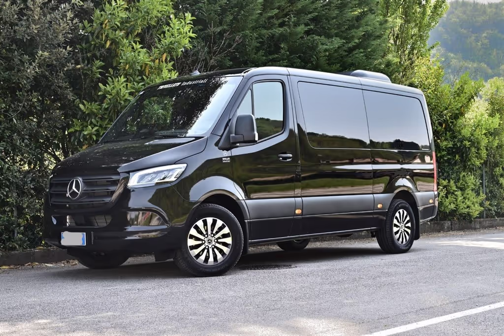 Venice Private Tour - Sprinter 8 passenger