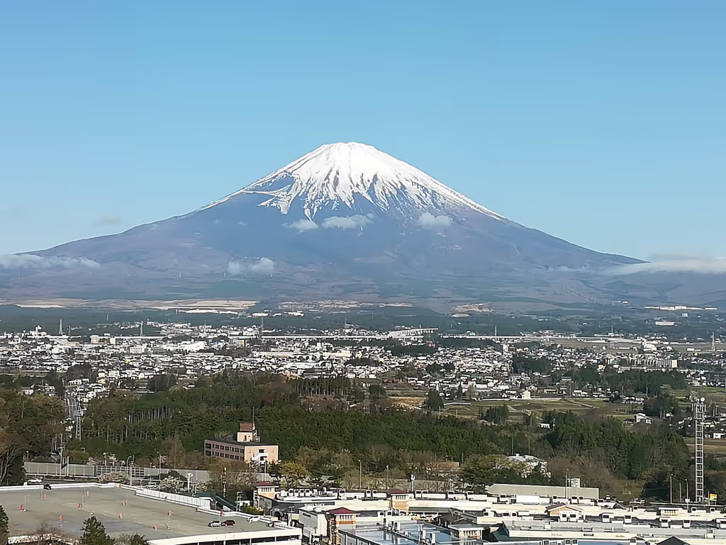 Shizuoka Private Tour - Beautiful Mount Fuji in April