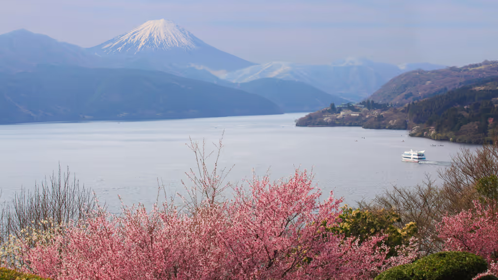 Hakone Private Tour - Lake, cherry blossoms, and Mt. Fuji