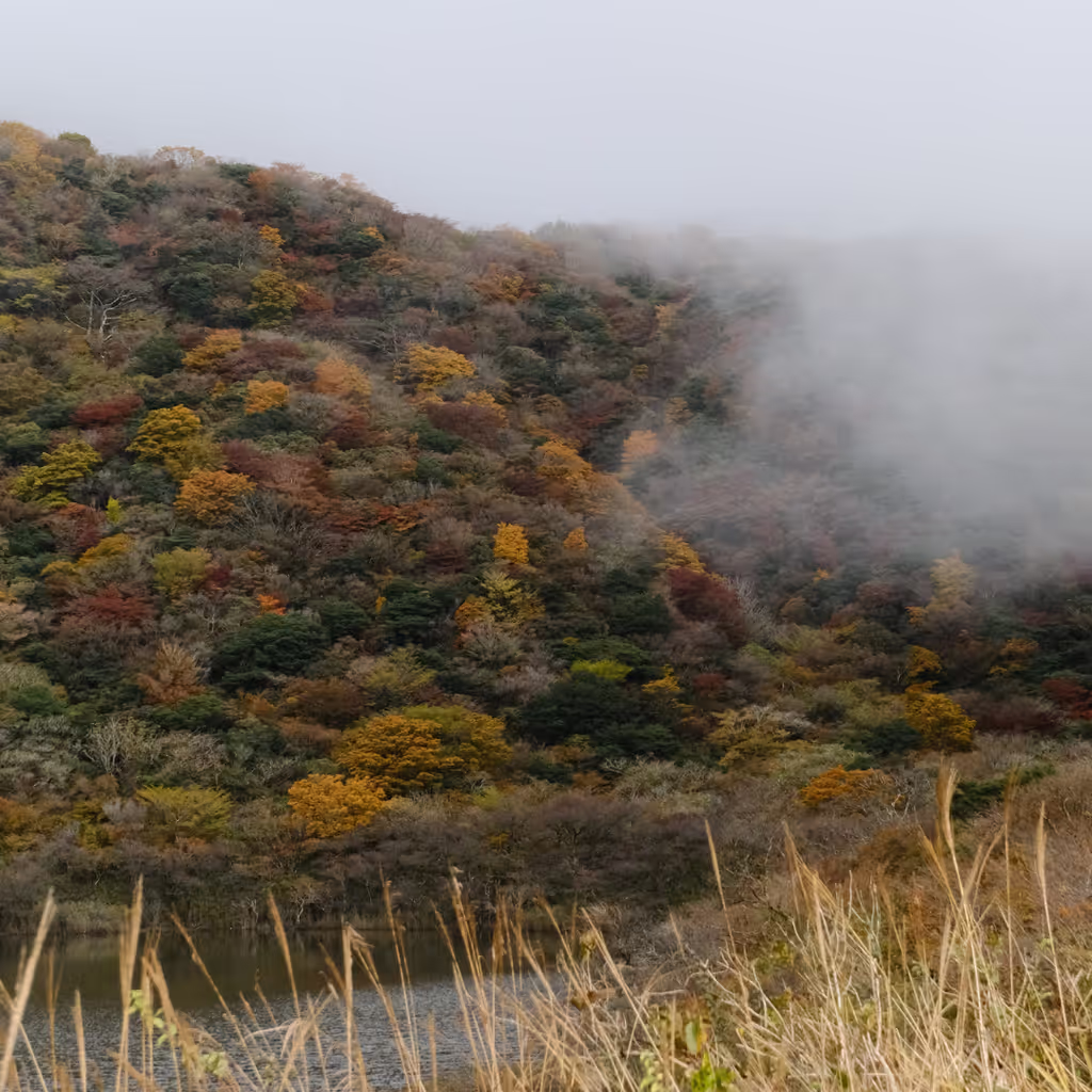 Hakone Private Tour - On winter mornings, mist often covers the lake